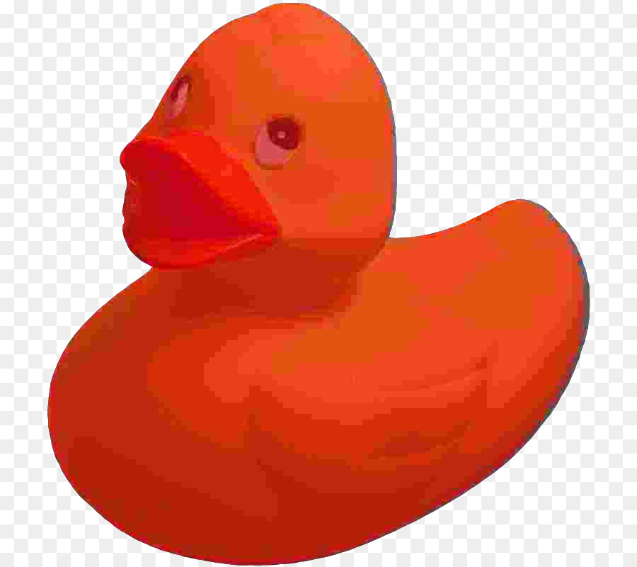 Canard，Bec PNG