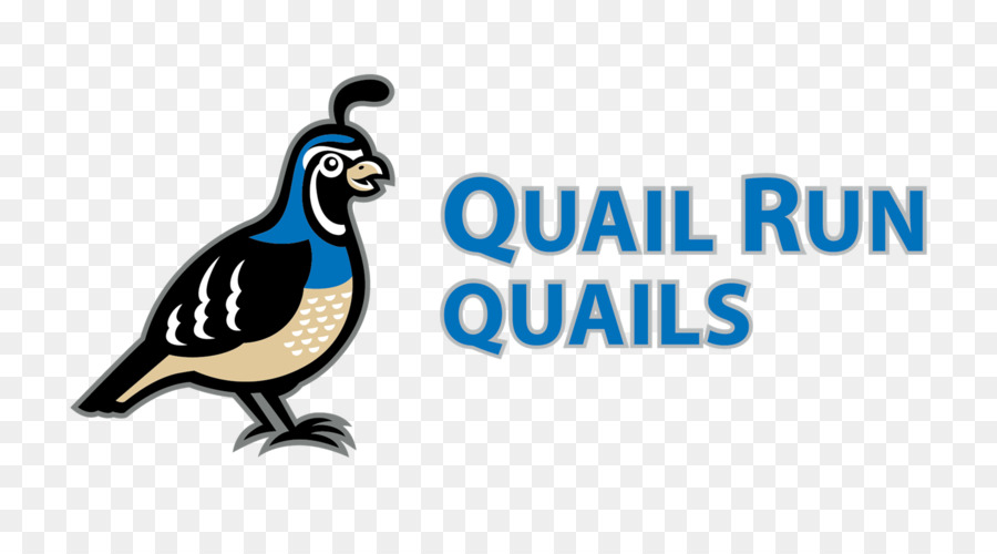 Caille，Quail Run Comportementaux De La Santé PNG