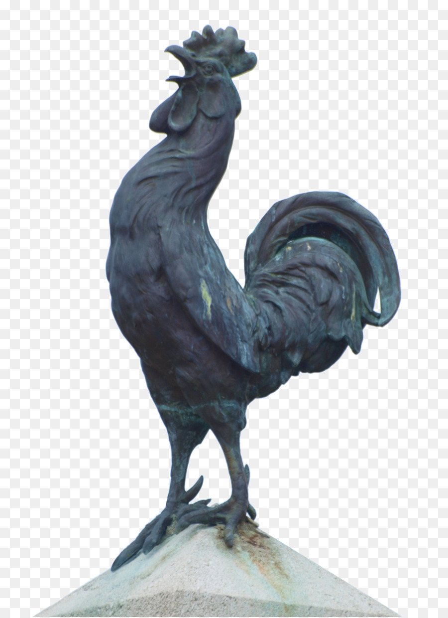 Coq，Bronze PNG