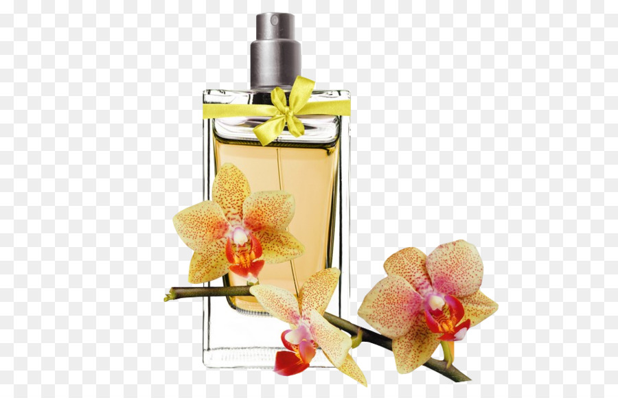 parfum cosmetiques flacon png parfum cosmetiques flacon transparentes png gratuit flacon png parfum