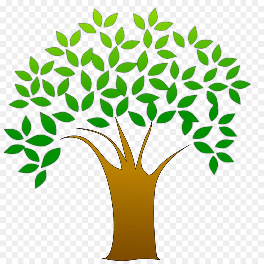 Arbre，Feuilles PNG