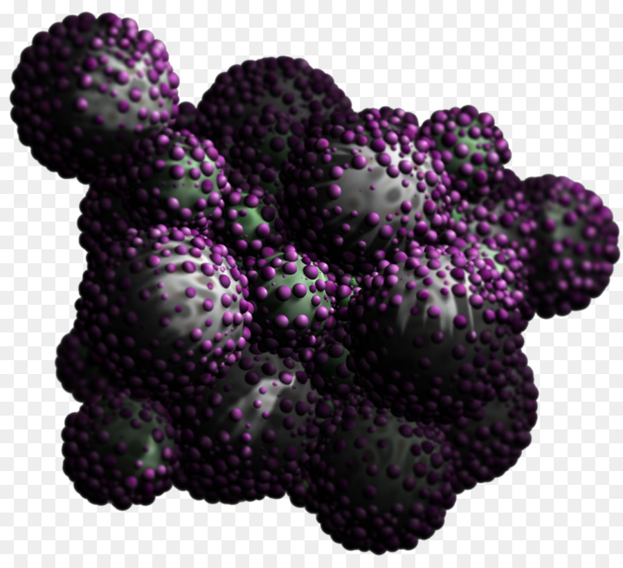 Raisin，Boysenberry PNG