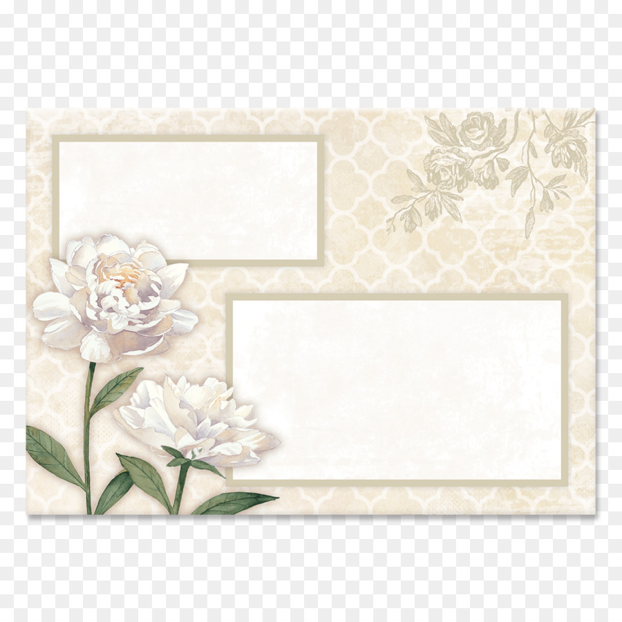 Carte Florale，Fleurs Blanches PNG