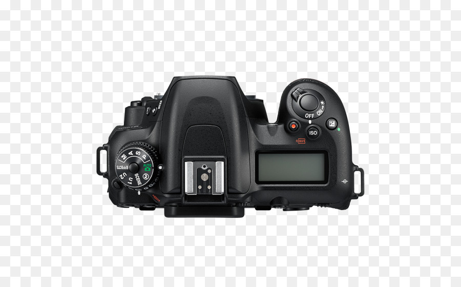 Nikon D7500，Nikon D500 PNG