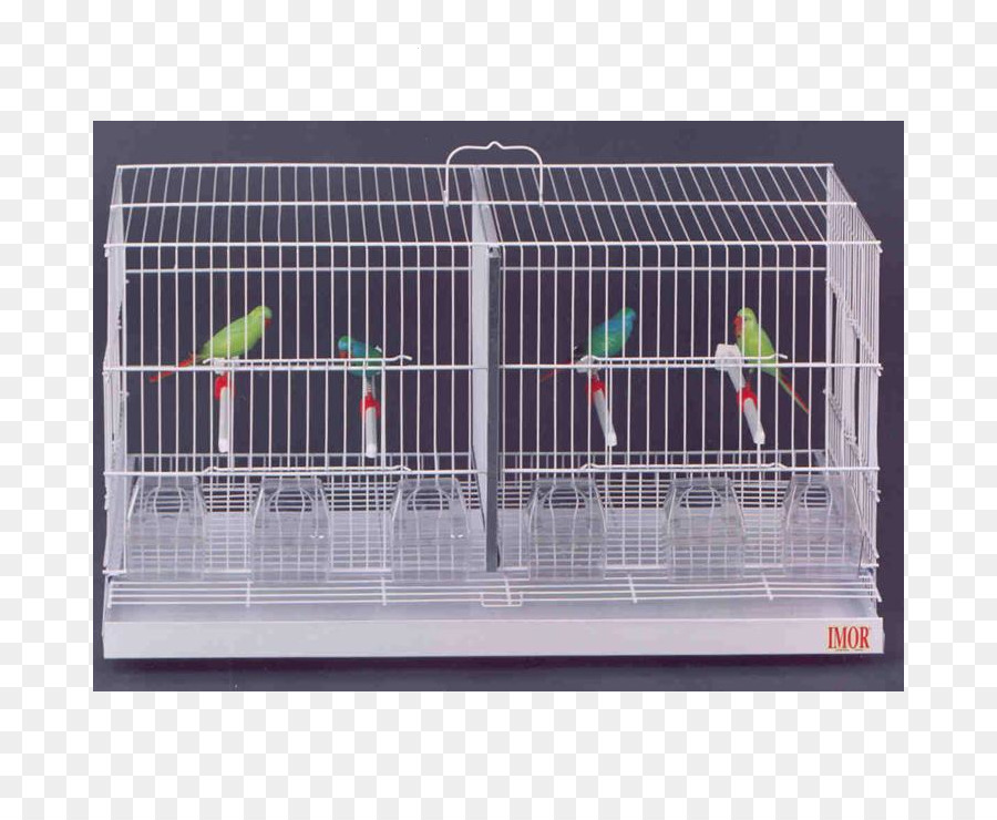 Cage，Oiseau PNG