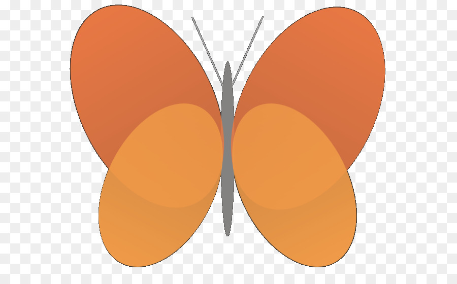 Papillon，2m PNG