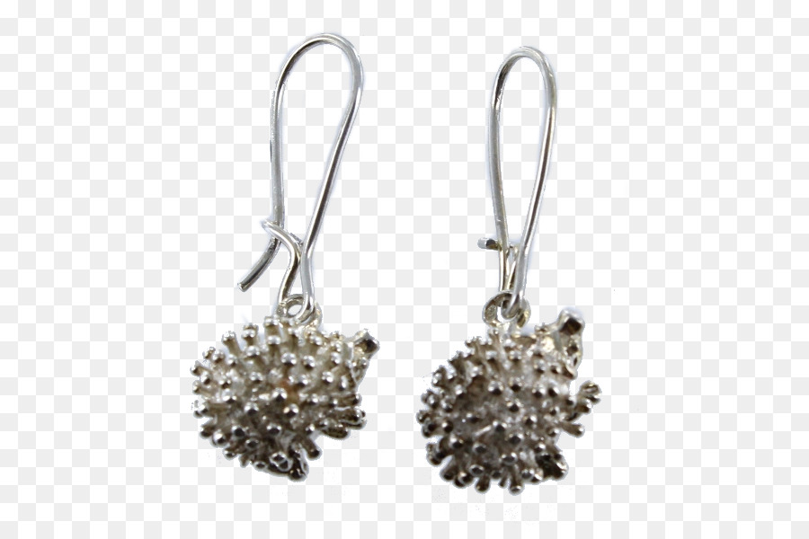 Boucle D Oreille，Argent PNG