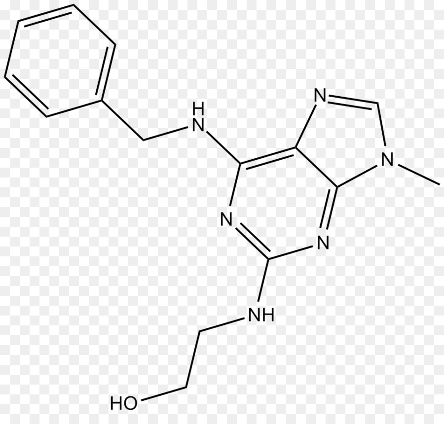 Cyclindependent Kinase，Cyclindependent Kinase 1 PNG