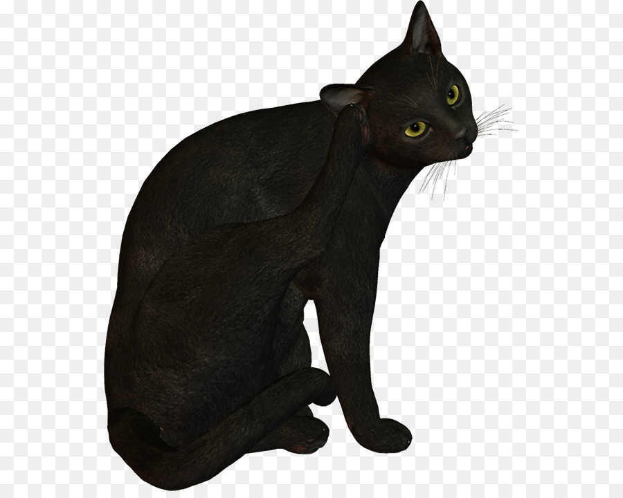 Statue De Chat Noir，Animal PNG