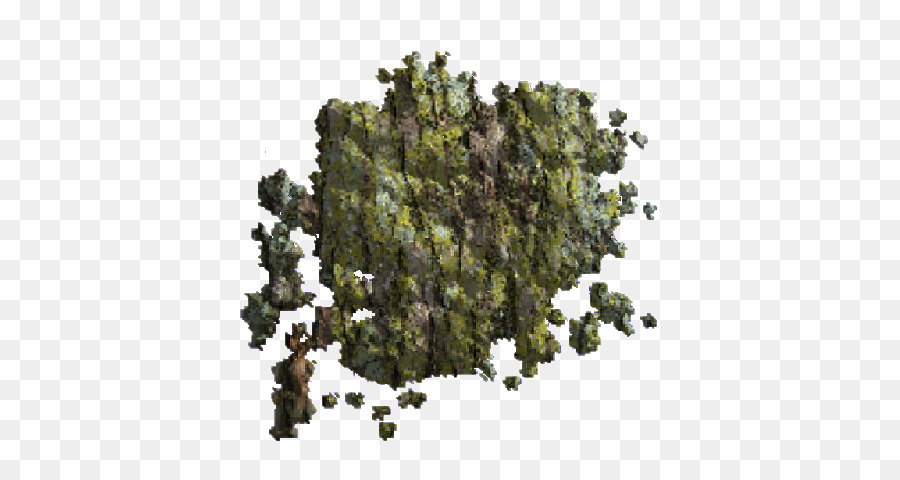 Arbre，Biome PNG