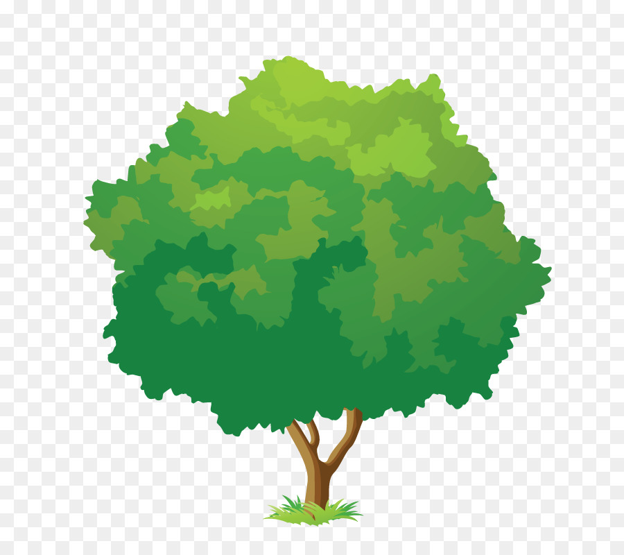 Arbre Vert，Arbre PNG