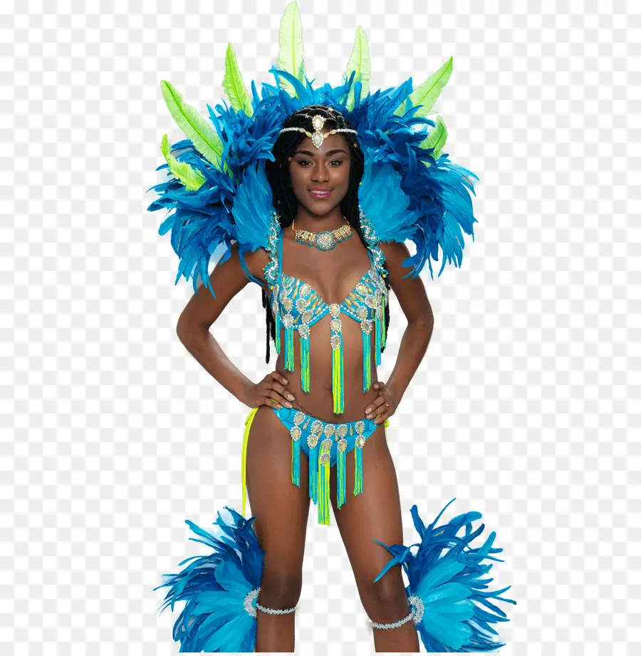 Carnaval，Plume PNG