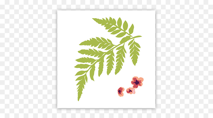 La Floraison De La Plante，Fruits PNG