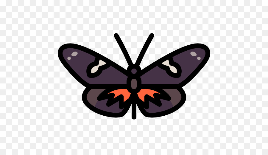 Papillon，Ailes PNG