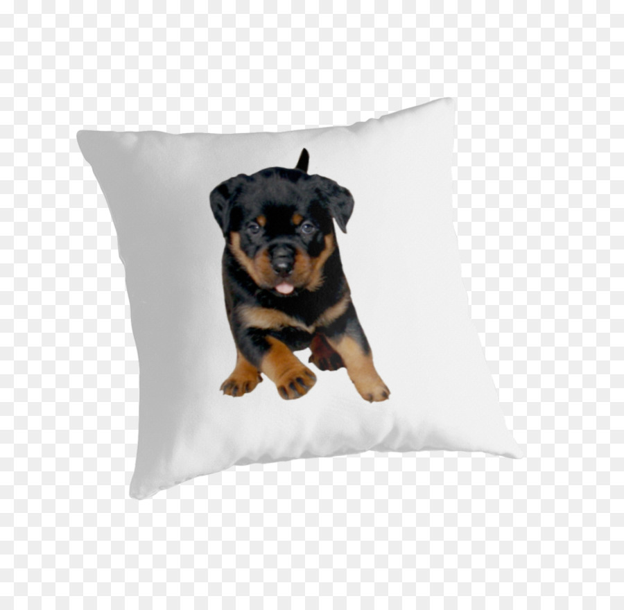 Rottweiler，Chiot PNG