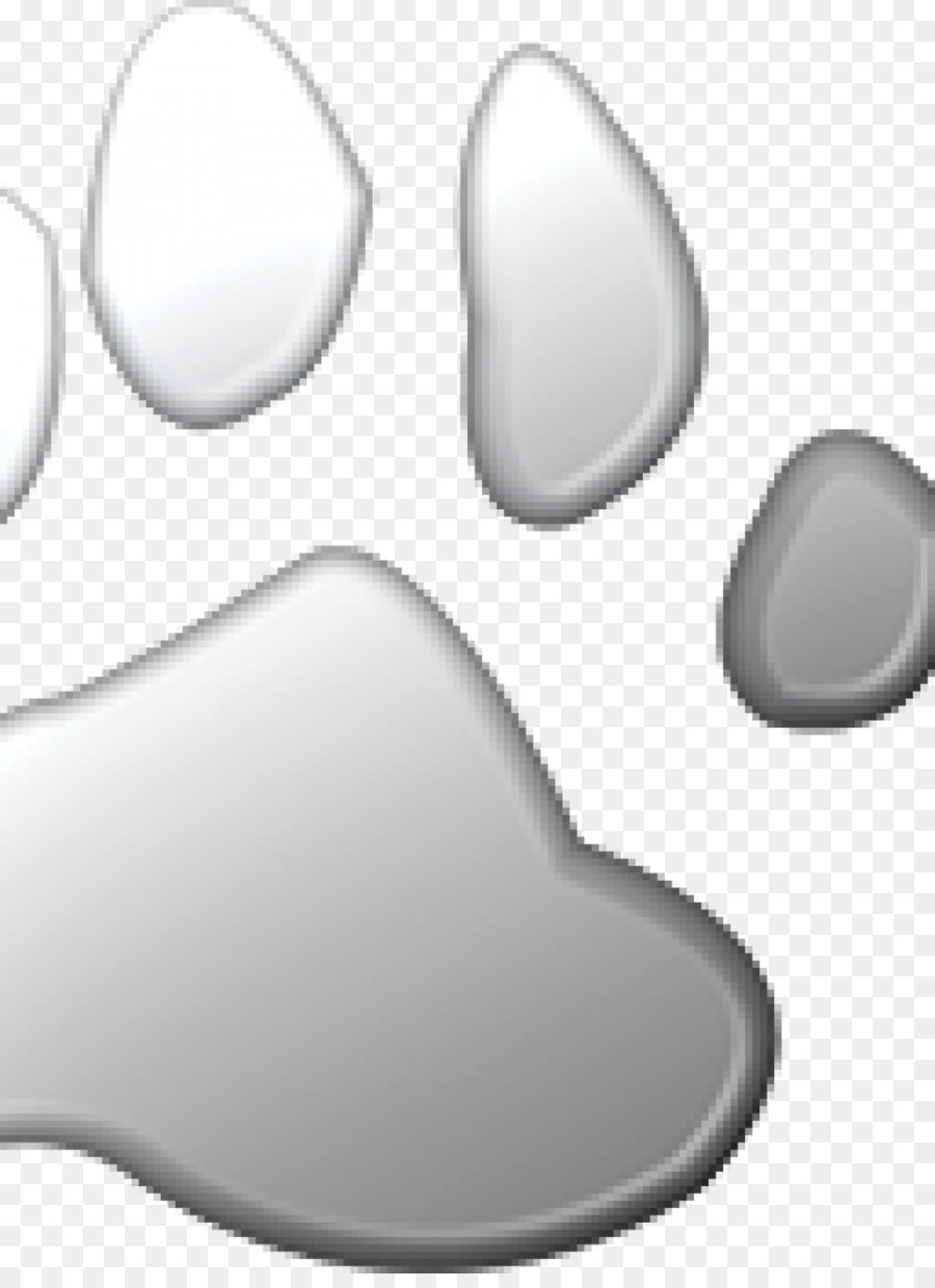 Animal，Chaussure PNG