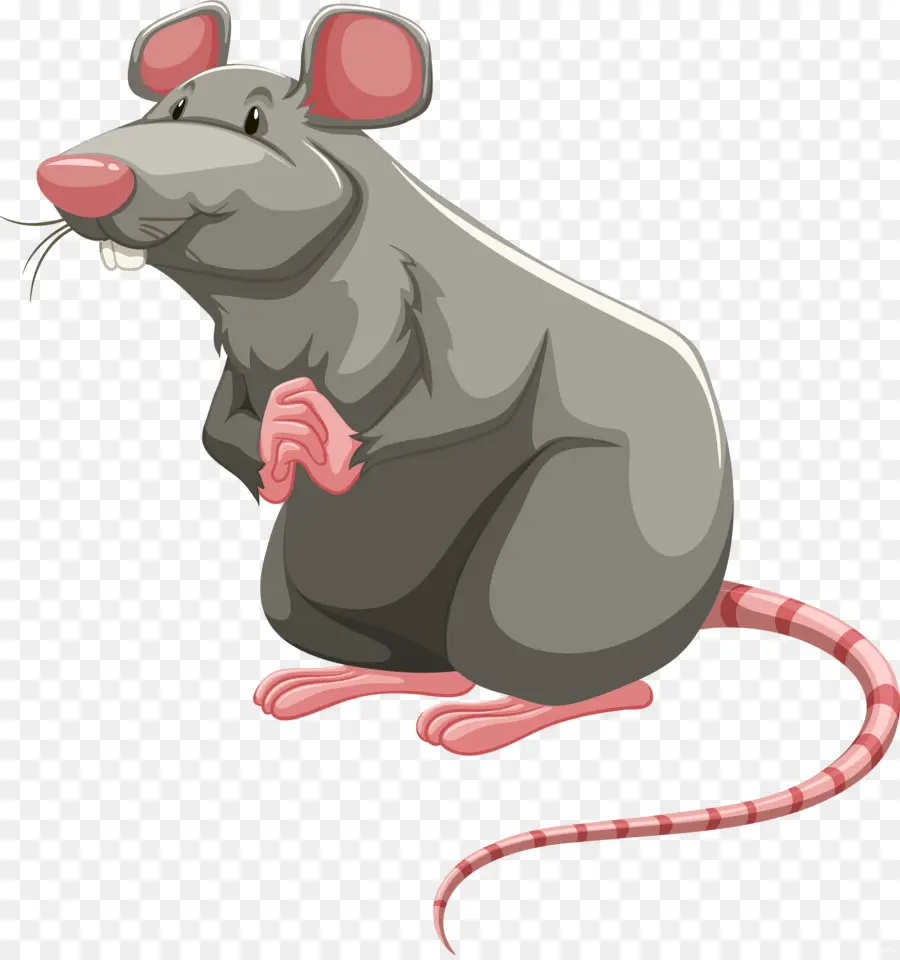 Un Rat De Laboratoire，Rat Brun PNG