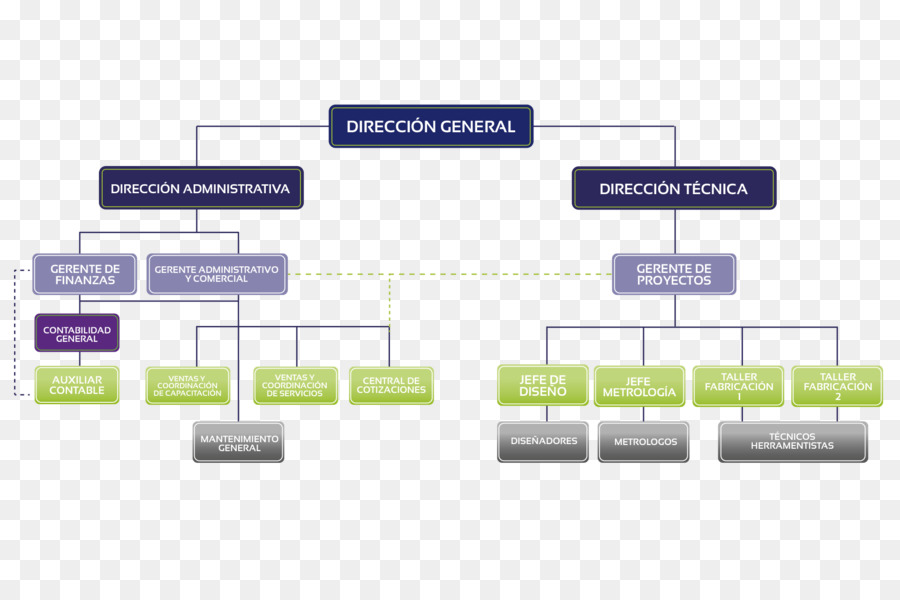 Organigramme，Organisation PNG