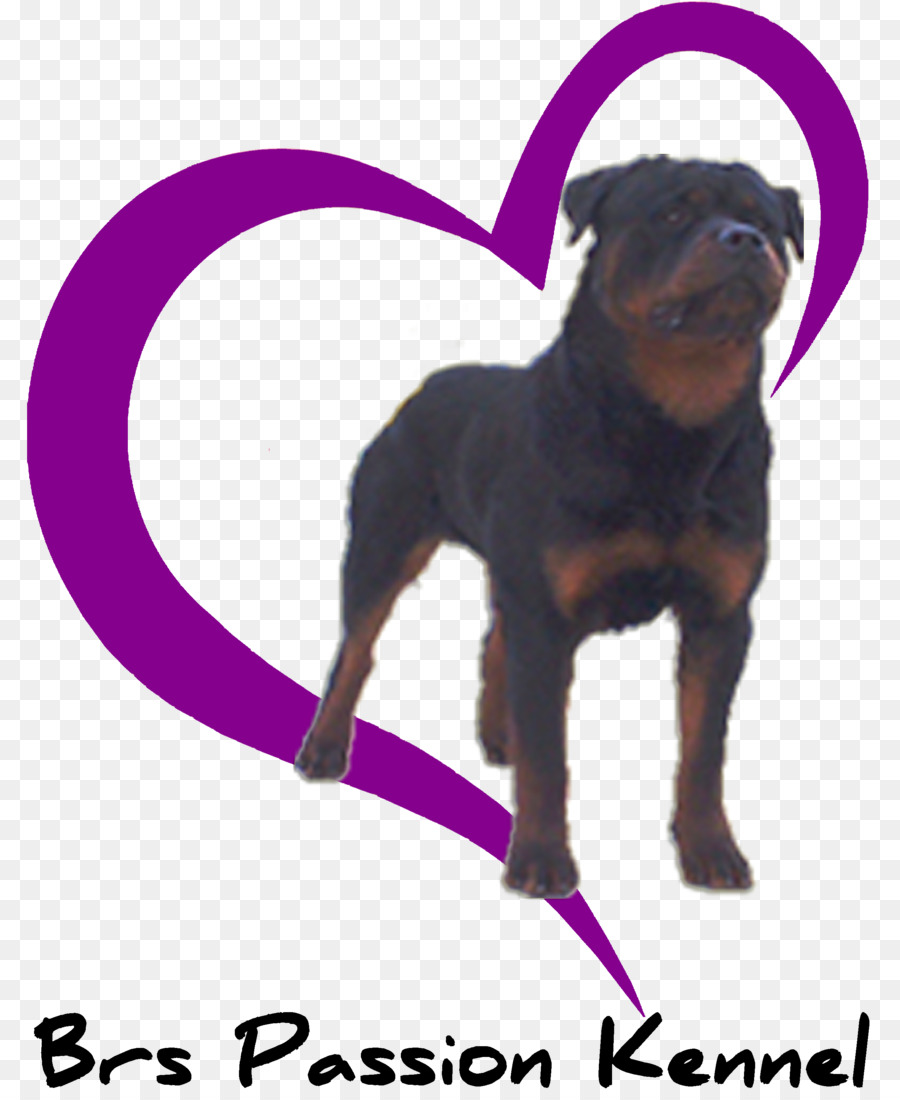 Chiot，Rottweiler PNG