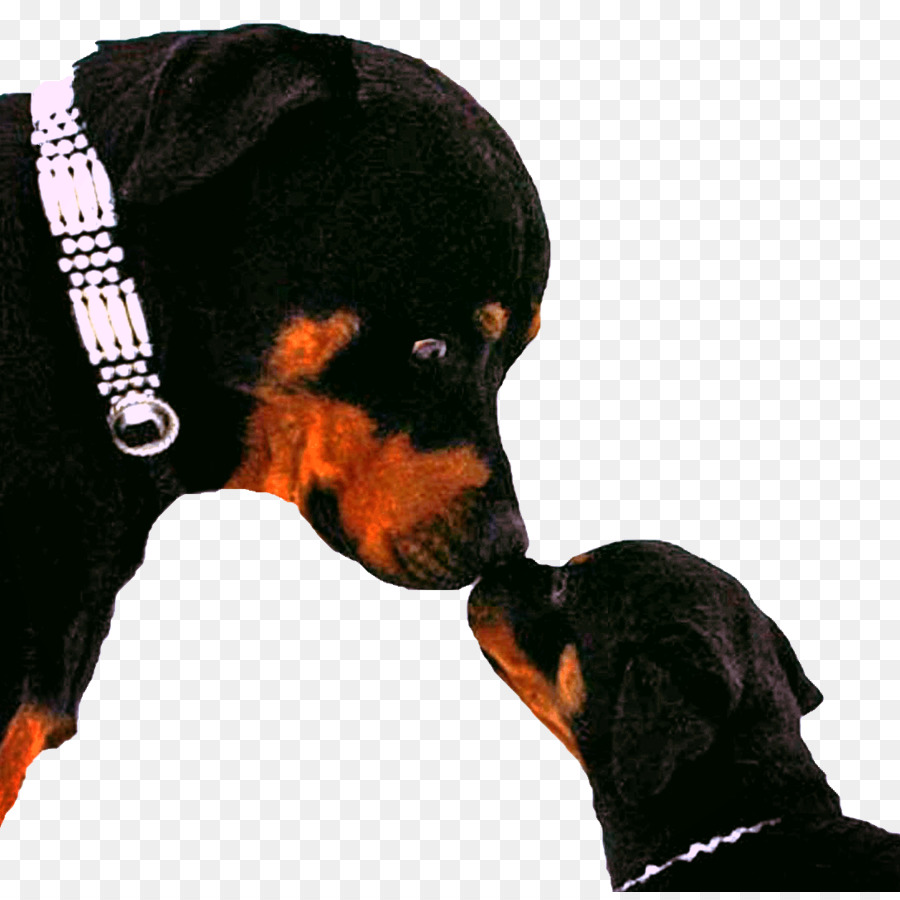 Deux Chiens，Rottweiler PNG