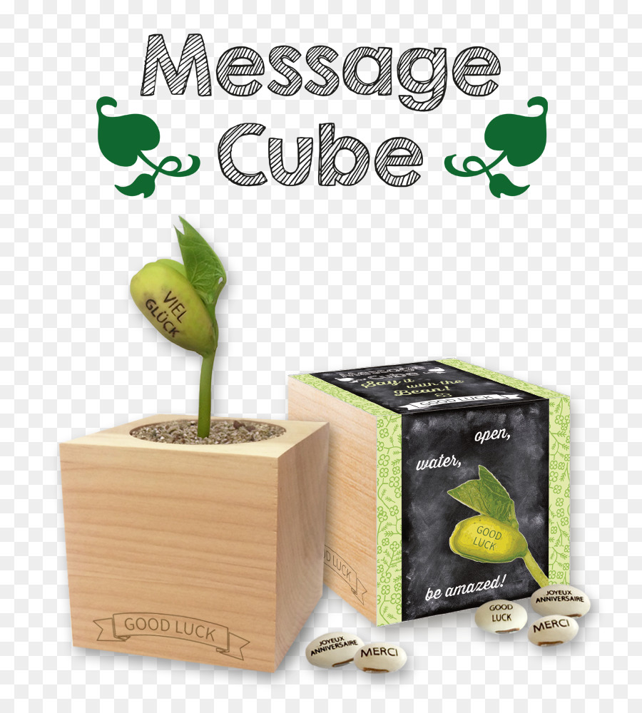 Cube，Flowerpot PNG