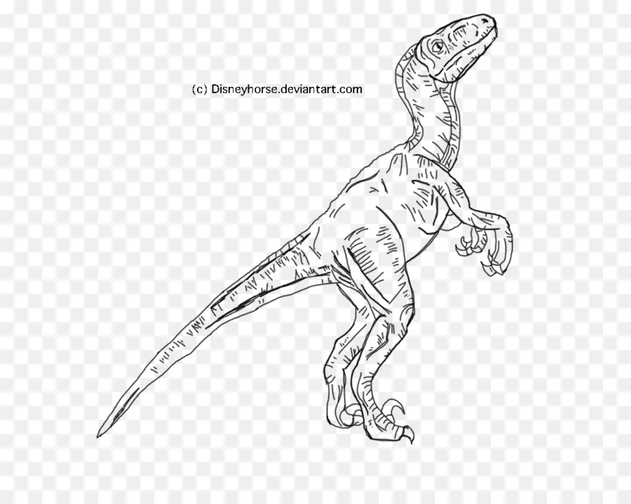 Velociraptor，Jurassic World évolution PNG