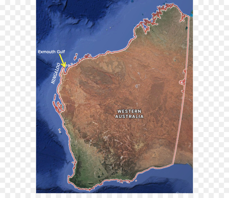 La Côte De Ningaloo，Récif PNG