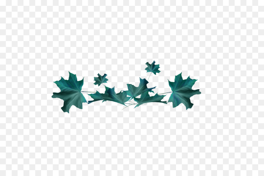 Branche，Feuille PNG