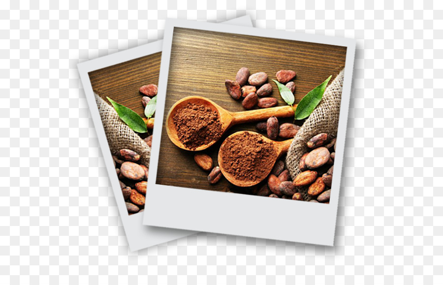 Fève De Cacao，De Cacaoyers PNG