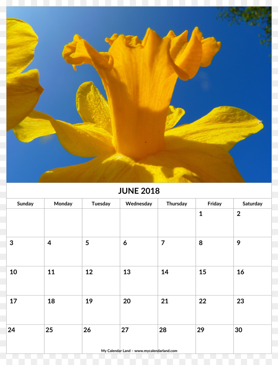 Calendrier，Fleur De Naissance PNG