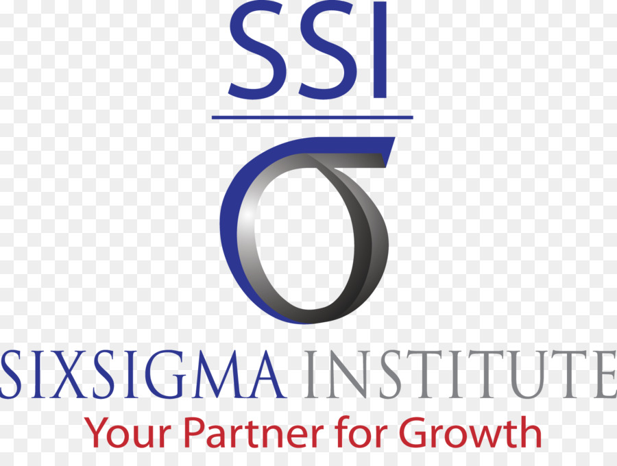 Six Sigma，Organisation PNG