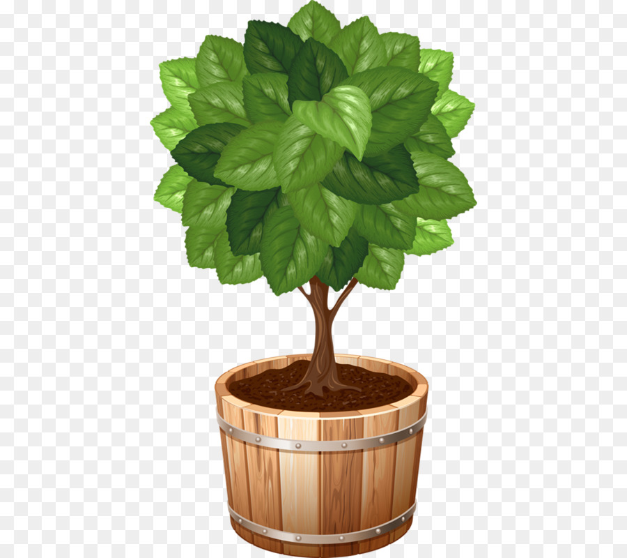 Plante En Pot，Feuilles Vertes PNG