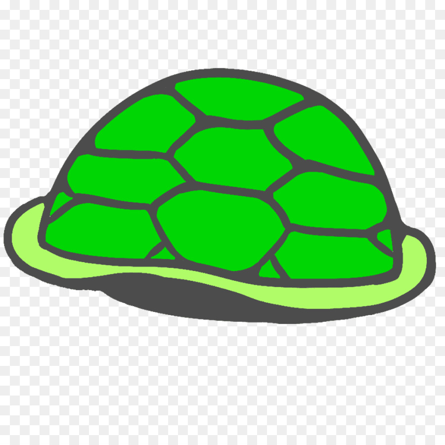 Tortue，Carapace PNG