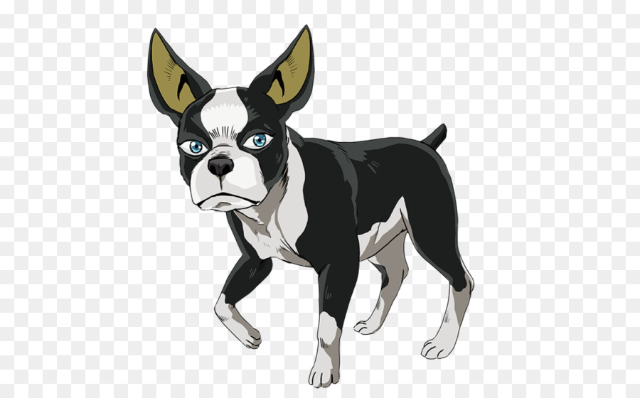 Terrier De Boston，Animal De Compagnie PNG