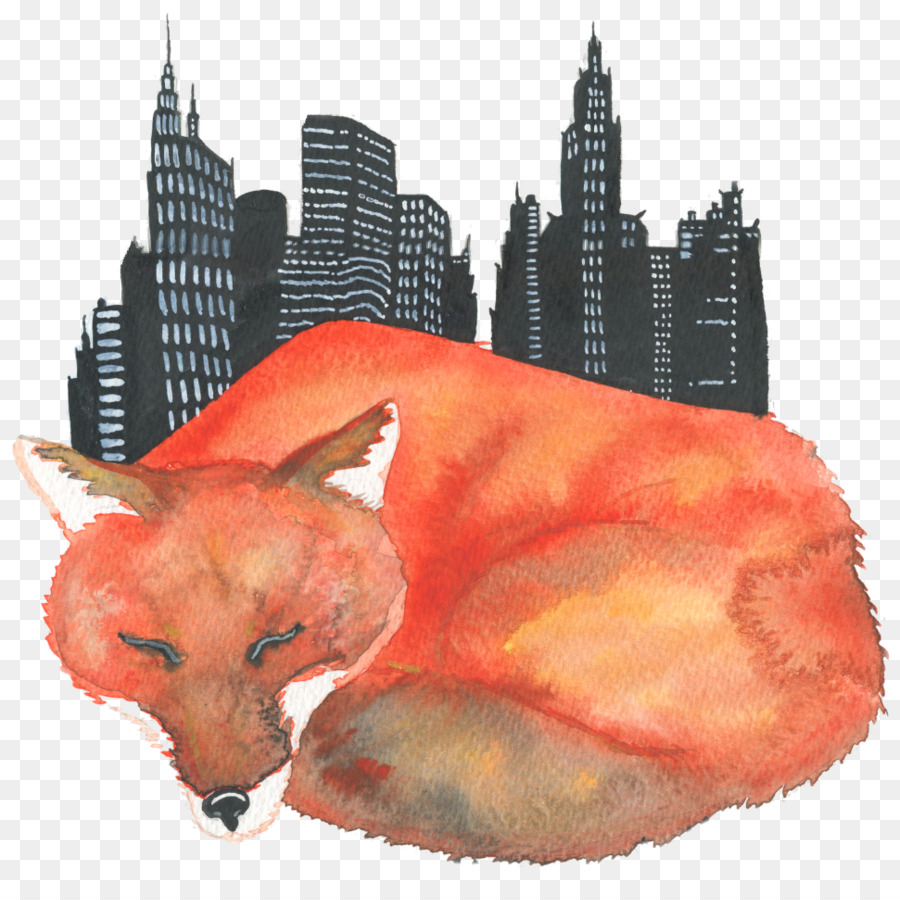 Renard Rouge，Illustrator PNG