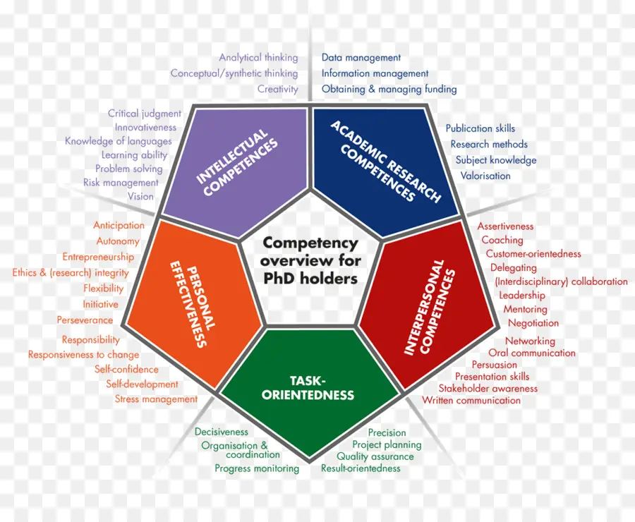 Aperçu Des Compétences，Doctorat PNG