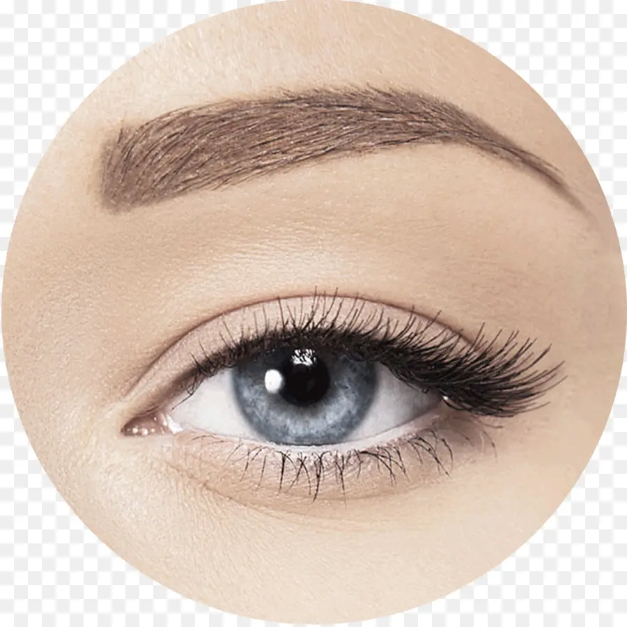 Oeil Bleu，Sourcil PNG