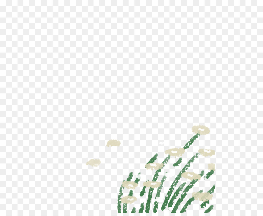 Feuille，Chaussure PNG