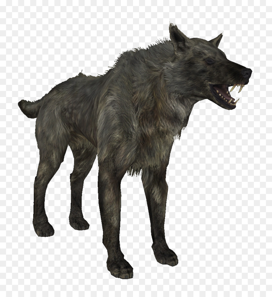 Loup Gris，L Oubli PNG