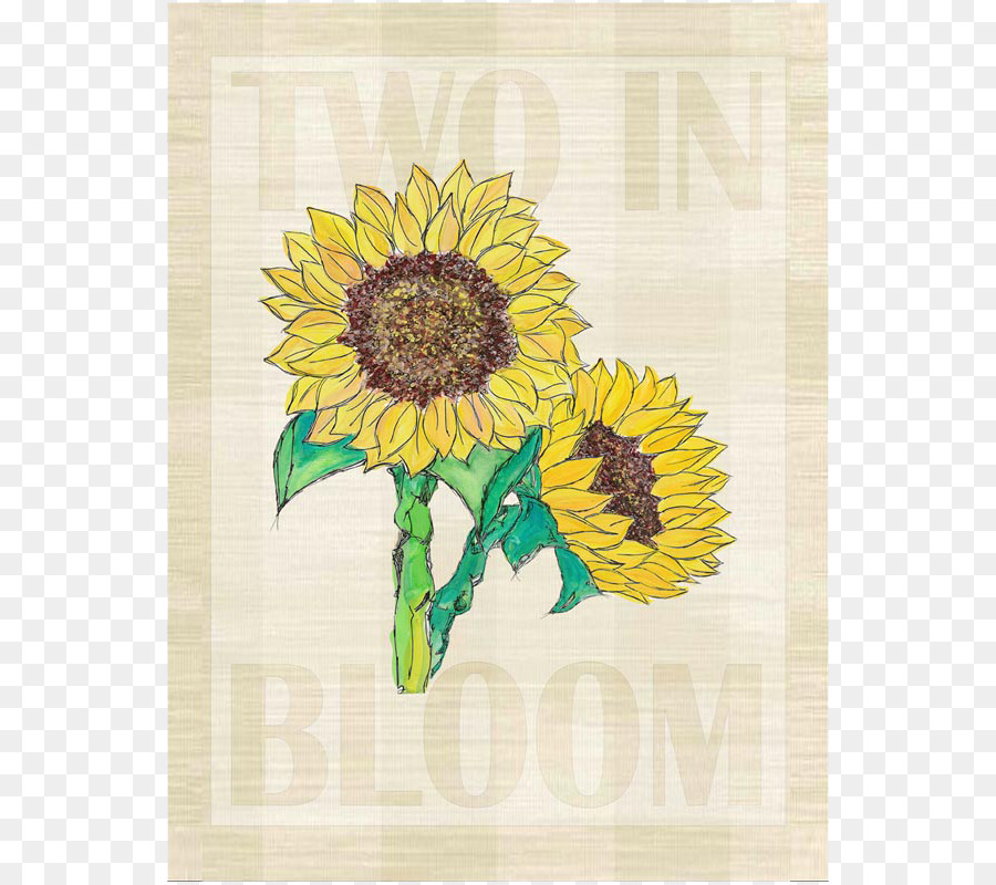 Design Floral，Tournesol M PNG