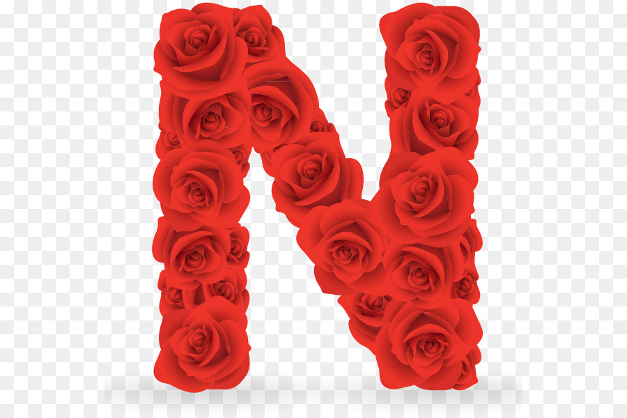 Lettre N，Rose PNG