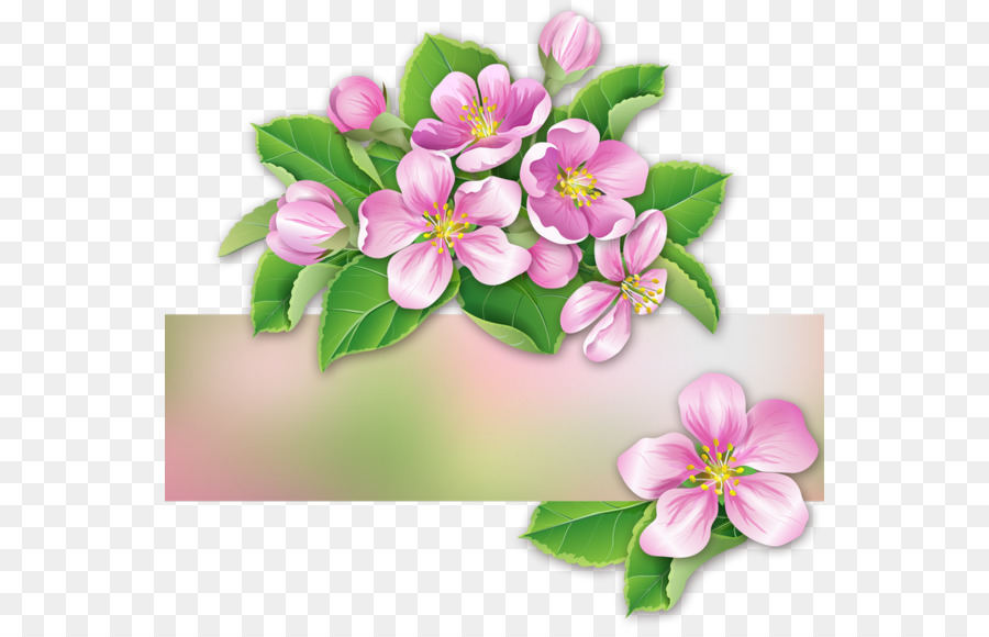 Fleurs，Fleurir PNG