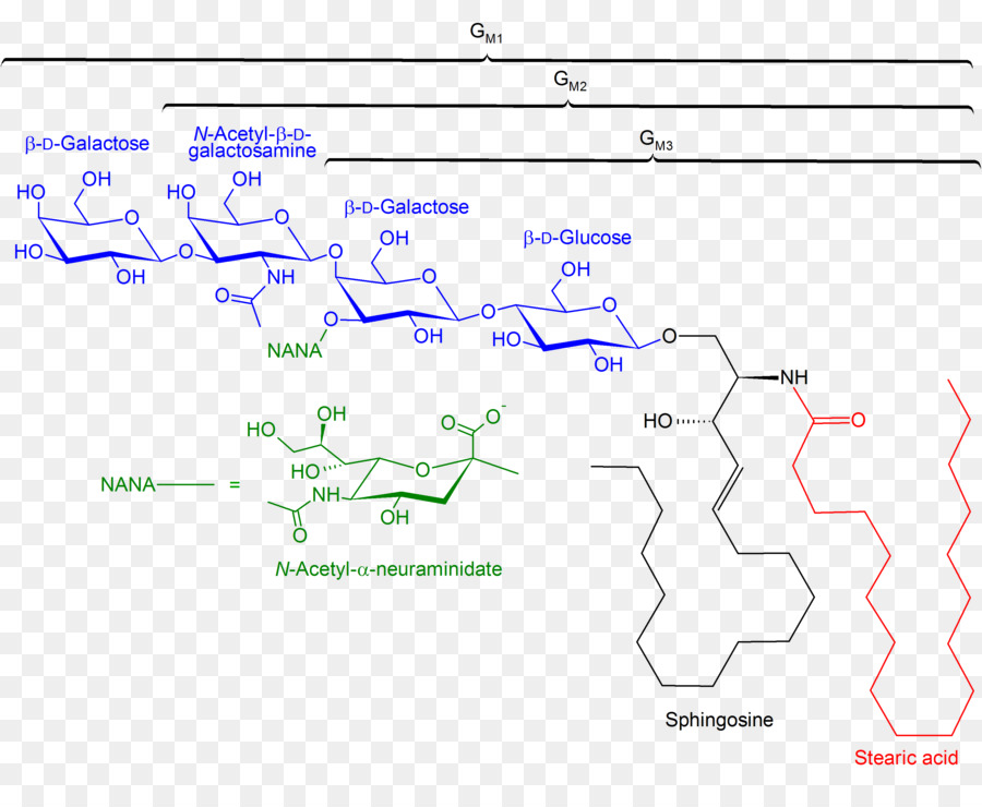 Ganglioside，Gm1 PNG