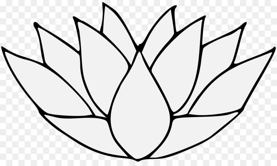 Lotus，Contour PNG