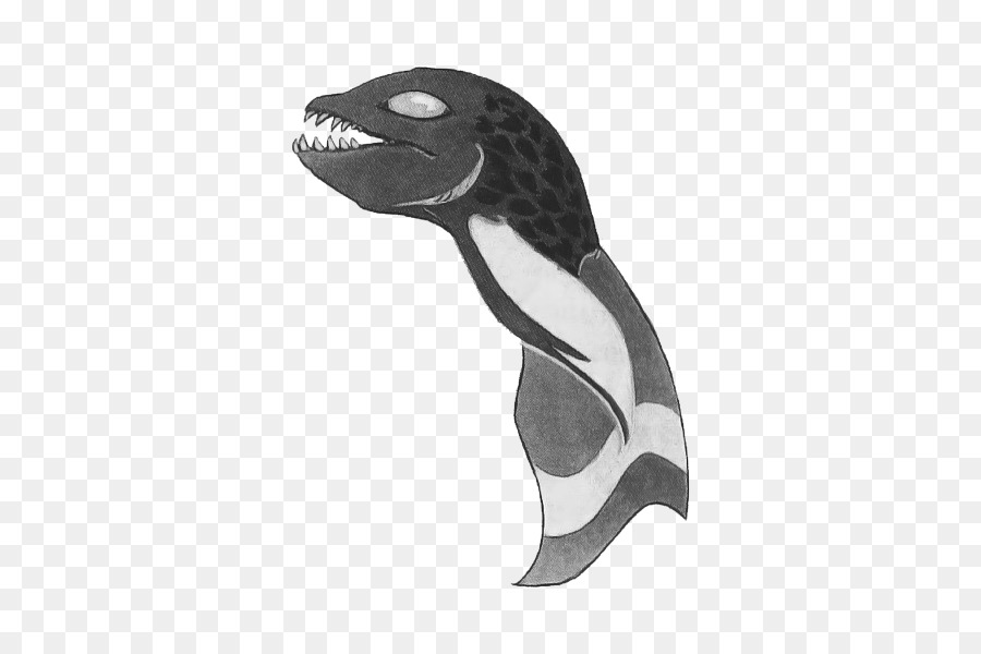 Pingouin，Les Mammifères Marins PNG