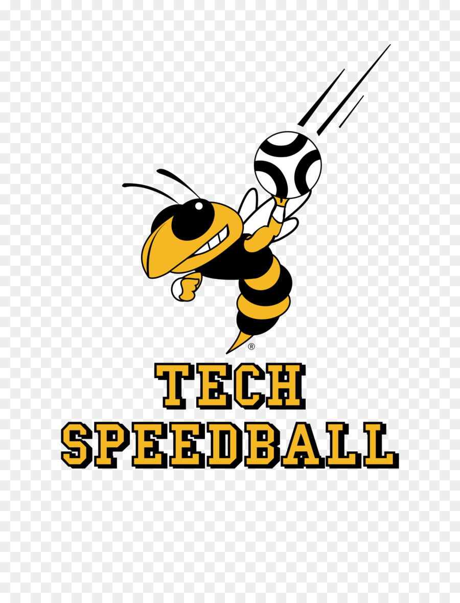 L Abeille à Miel，Georgia Tech Yellow Jackets De Football PNG