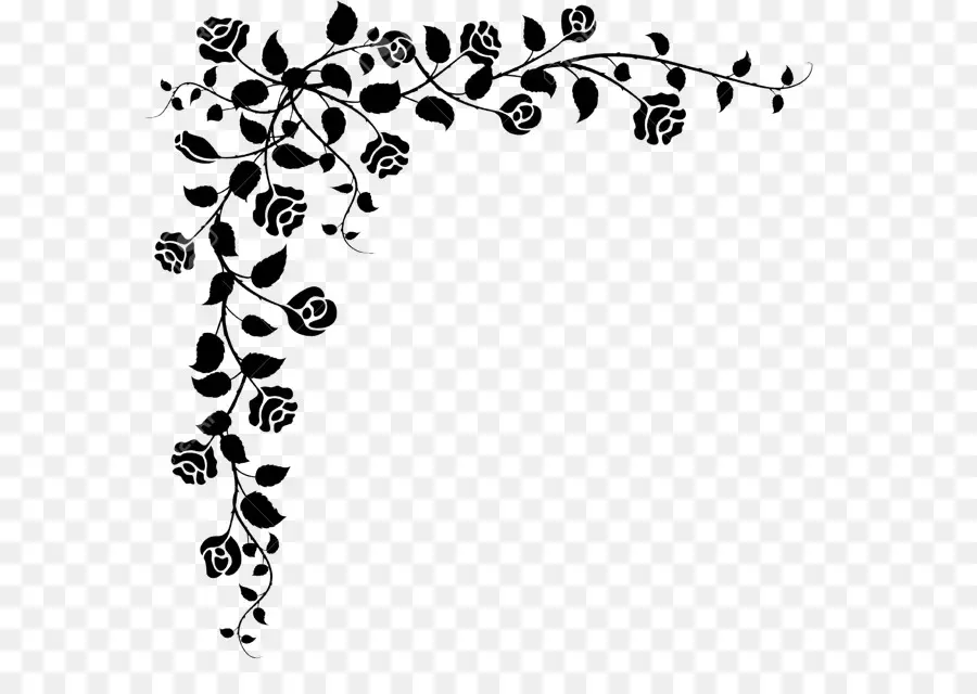 Art Floral，Noir Et Blanc PNG