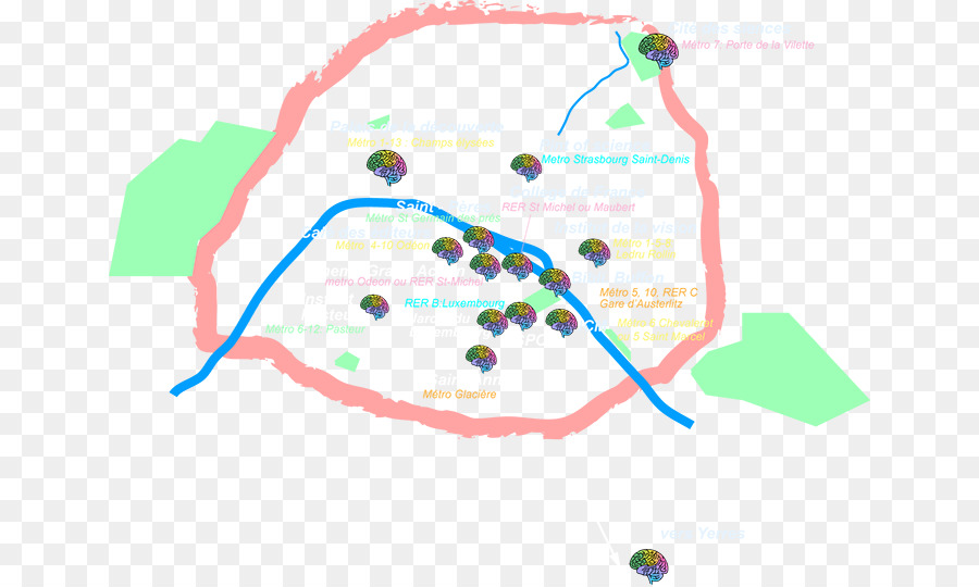 Cerveau，Colèress Planquées PNG