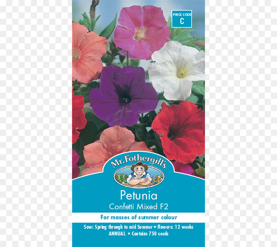 Pétunia，De La Graine PNG