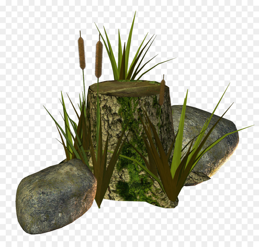 Flowerpot，Herbes PNG